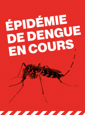 Lutte contre la dengue et le chikungunya