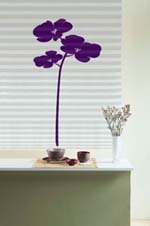 Sticker ORCHID' violet (dcor adhsif pour Store Minute)