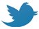 Twitter Store minute
